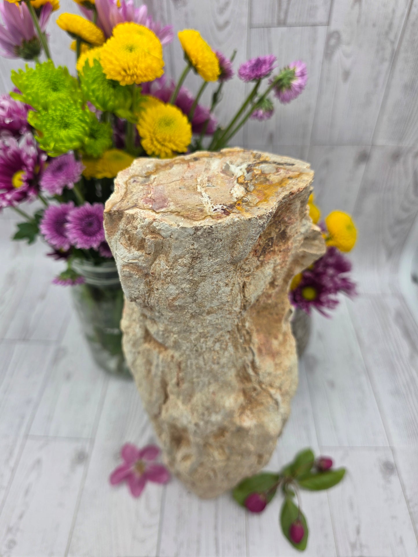 Petrified Wood Stump