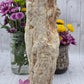 Petrified Wood Stump