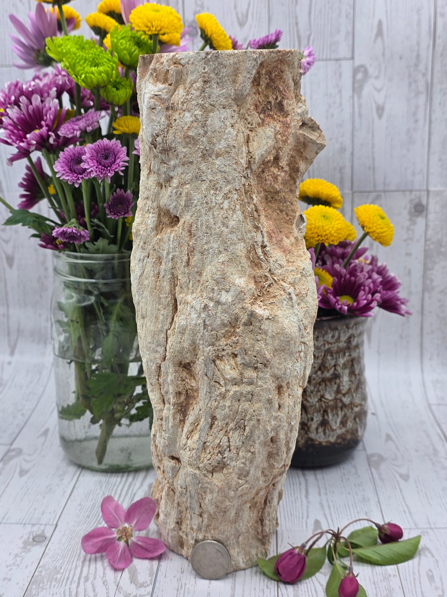 Petrified Wood Stump