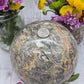 Orthoceras Fossil Sphere
