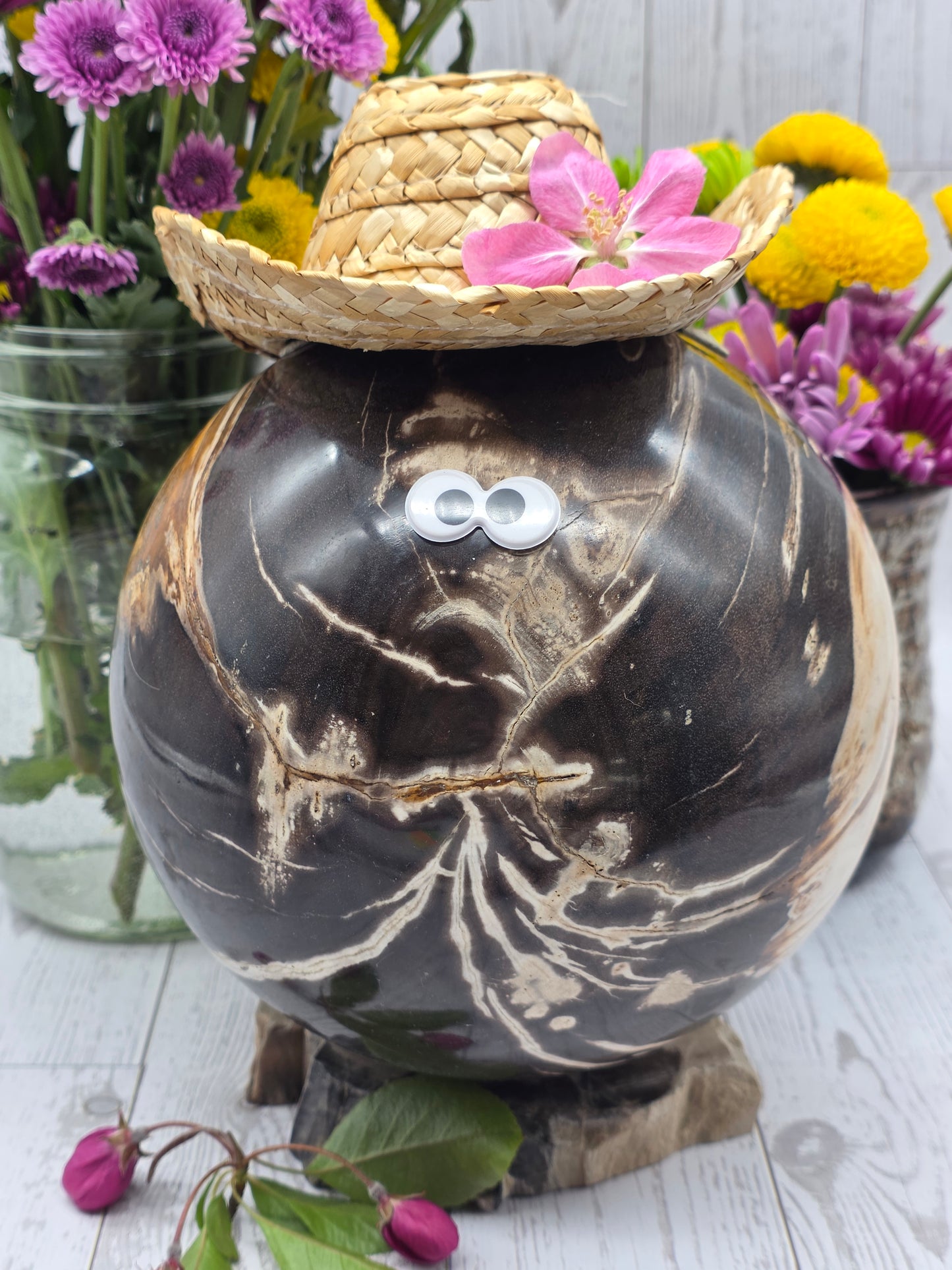 Woody the Petrified Wood Sphere