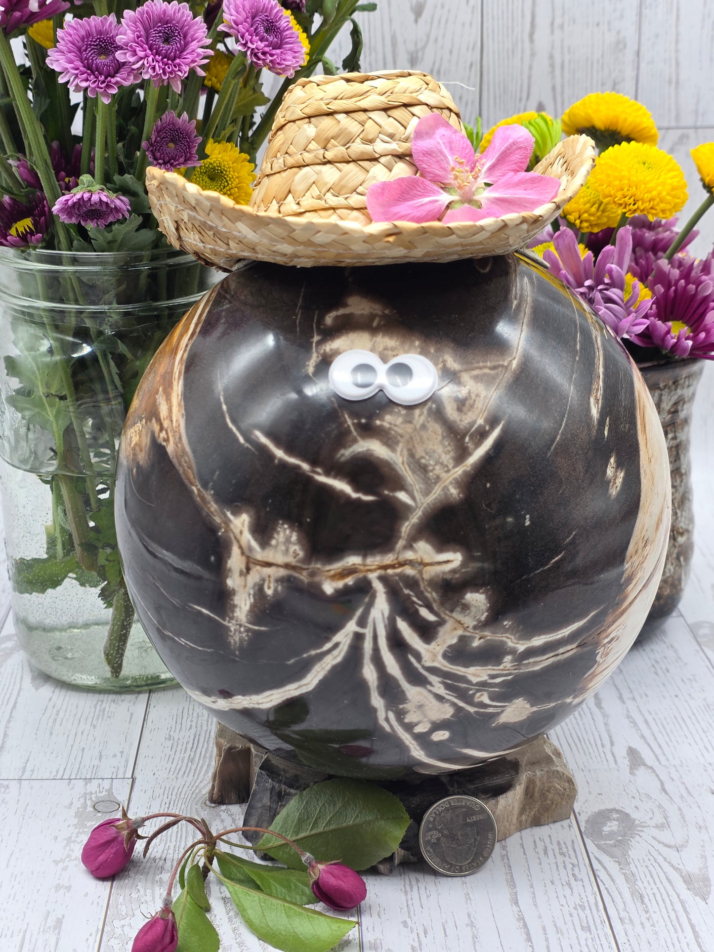 Woody the Petrified Wood Sphere