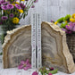 Petrified Wood Book Ends