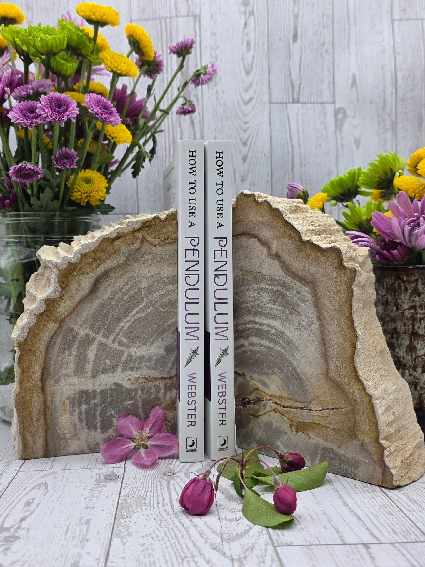 Petrified Wood Book Ends