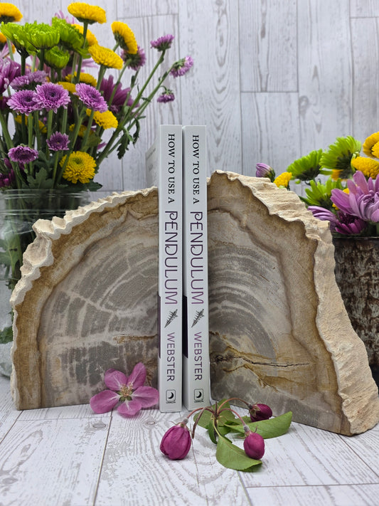 Petrified Wood Book Ends