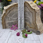 Petrified Wood Book Ends