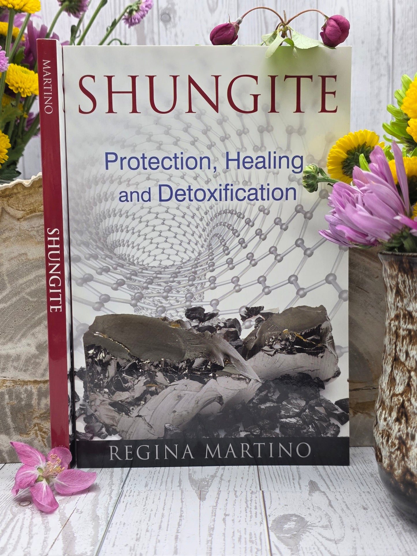 Shungite Book by Regina Martino