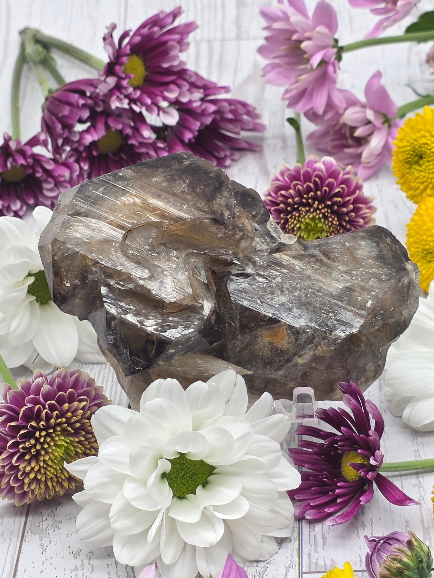 Elestial Smokey Quartz Cluster