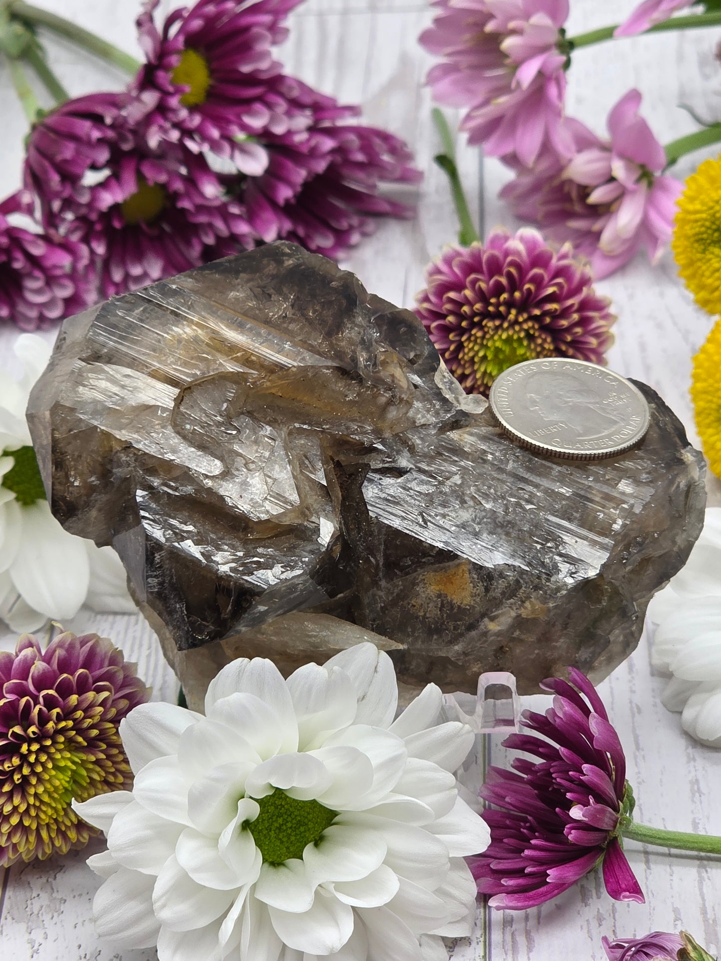 Elestial Smokey Quartz Cluster