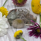 Garden Quartz Free Form