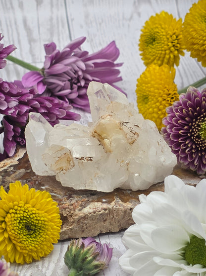 Lemurian Quartz Cluster