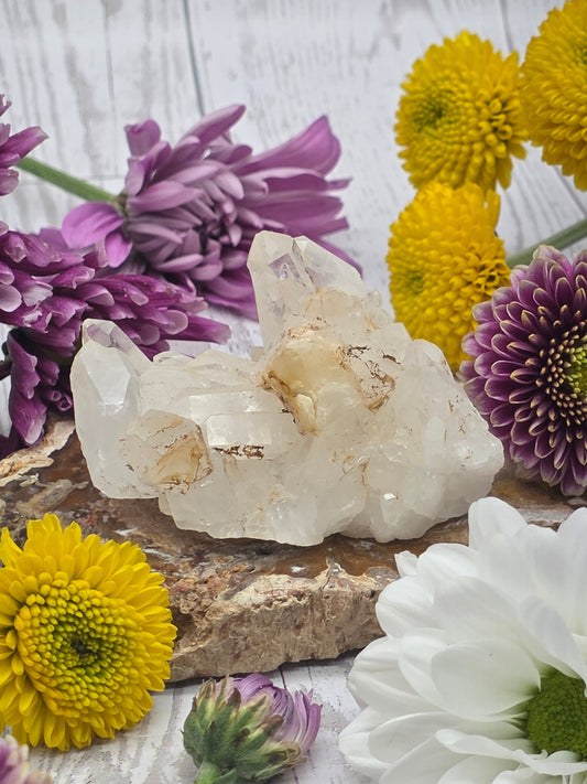 Lemurian Quartz Cluster