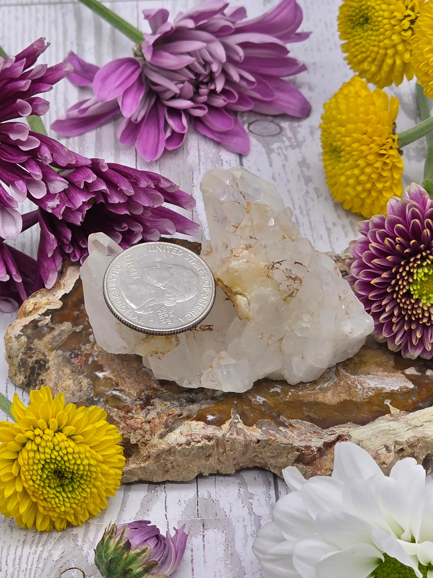Lemurian Quartz Cluster