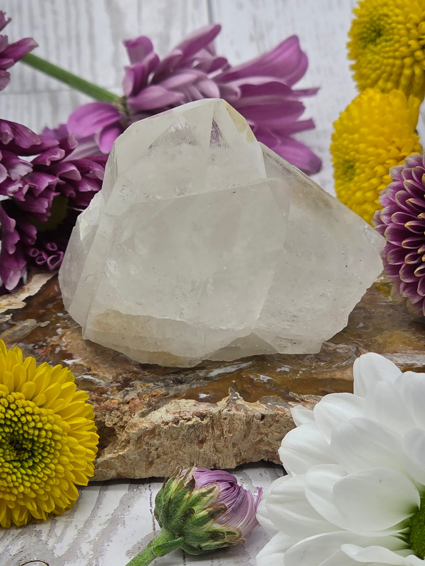 Lemurian Quartz Cluster