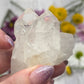 Lemurian Quartz Cluster