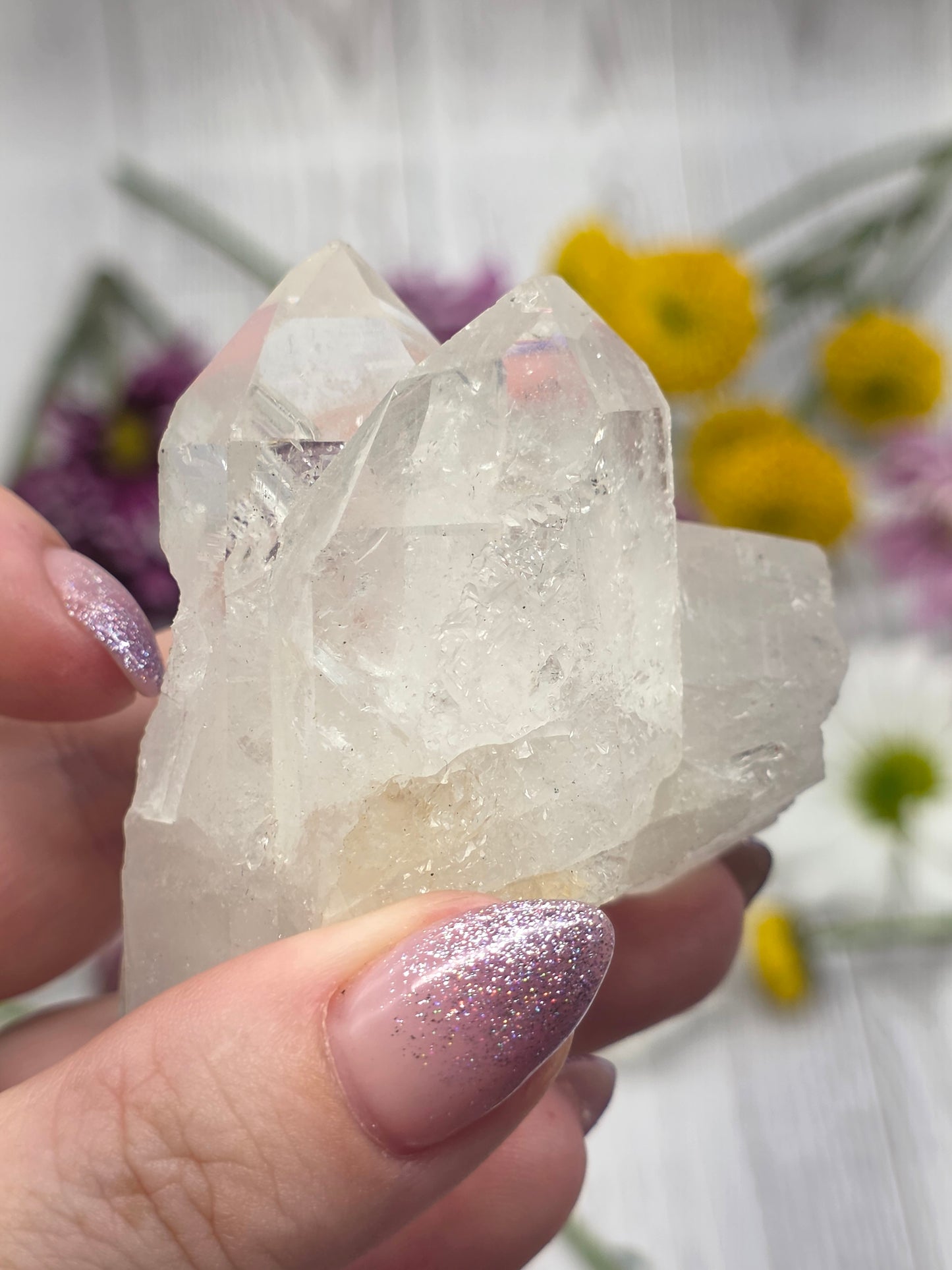 Lemurian Quartz Cluster