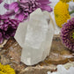 Lemurian Quartz Cluster