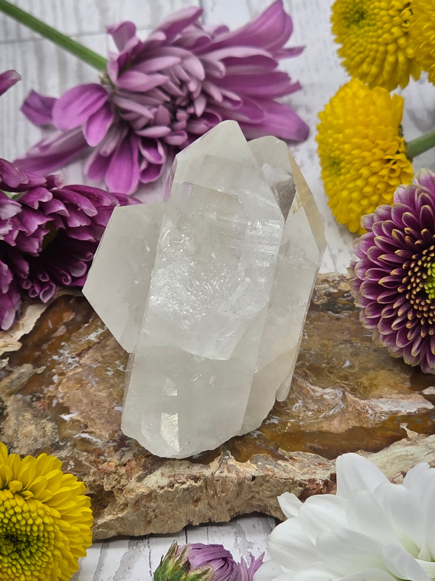 Lemurian Quartz Cluster