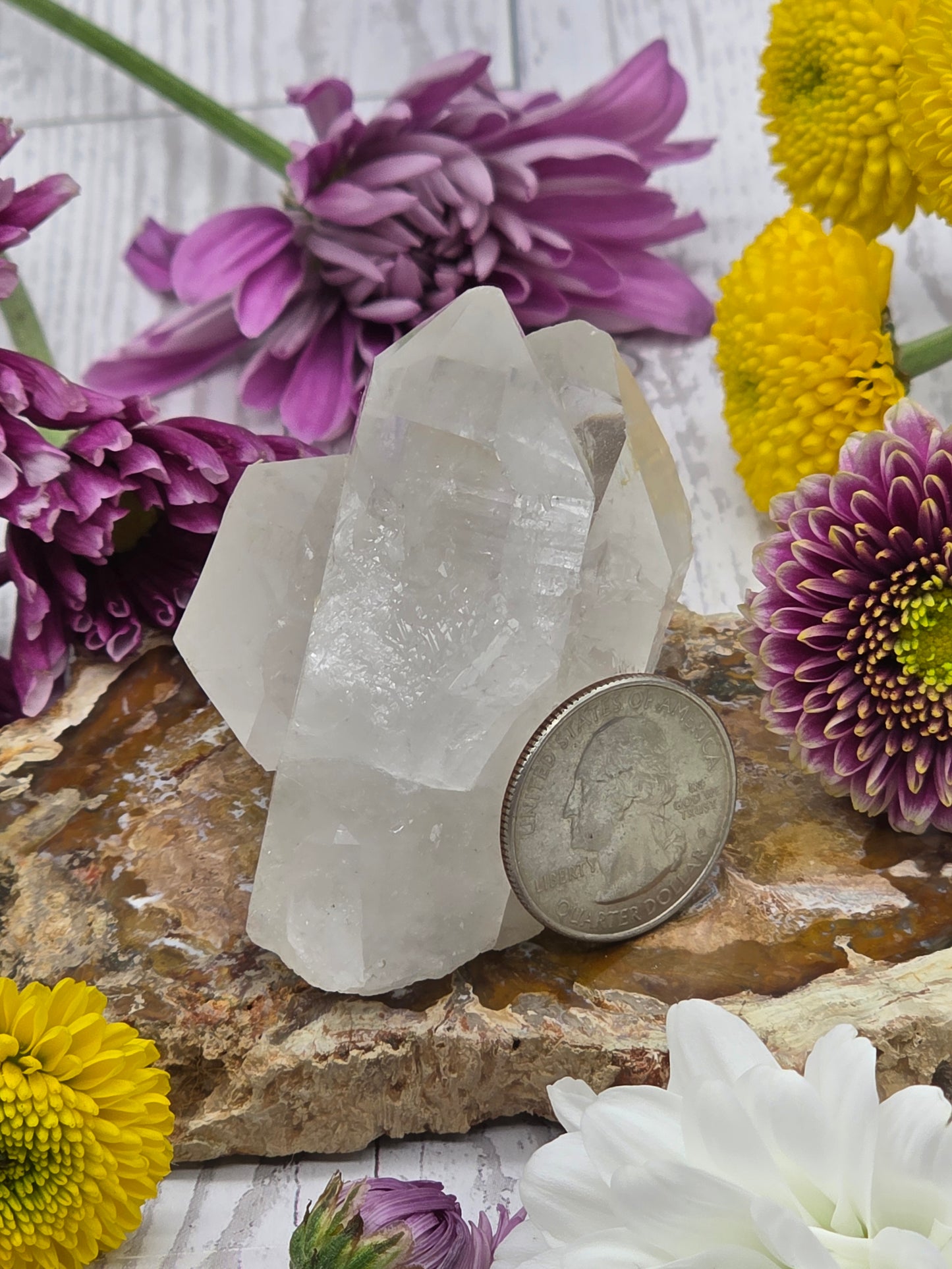 Lemurian Quartz Cluster