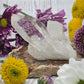 Lemurian Quartz Cluster