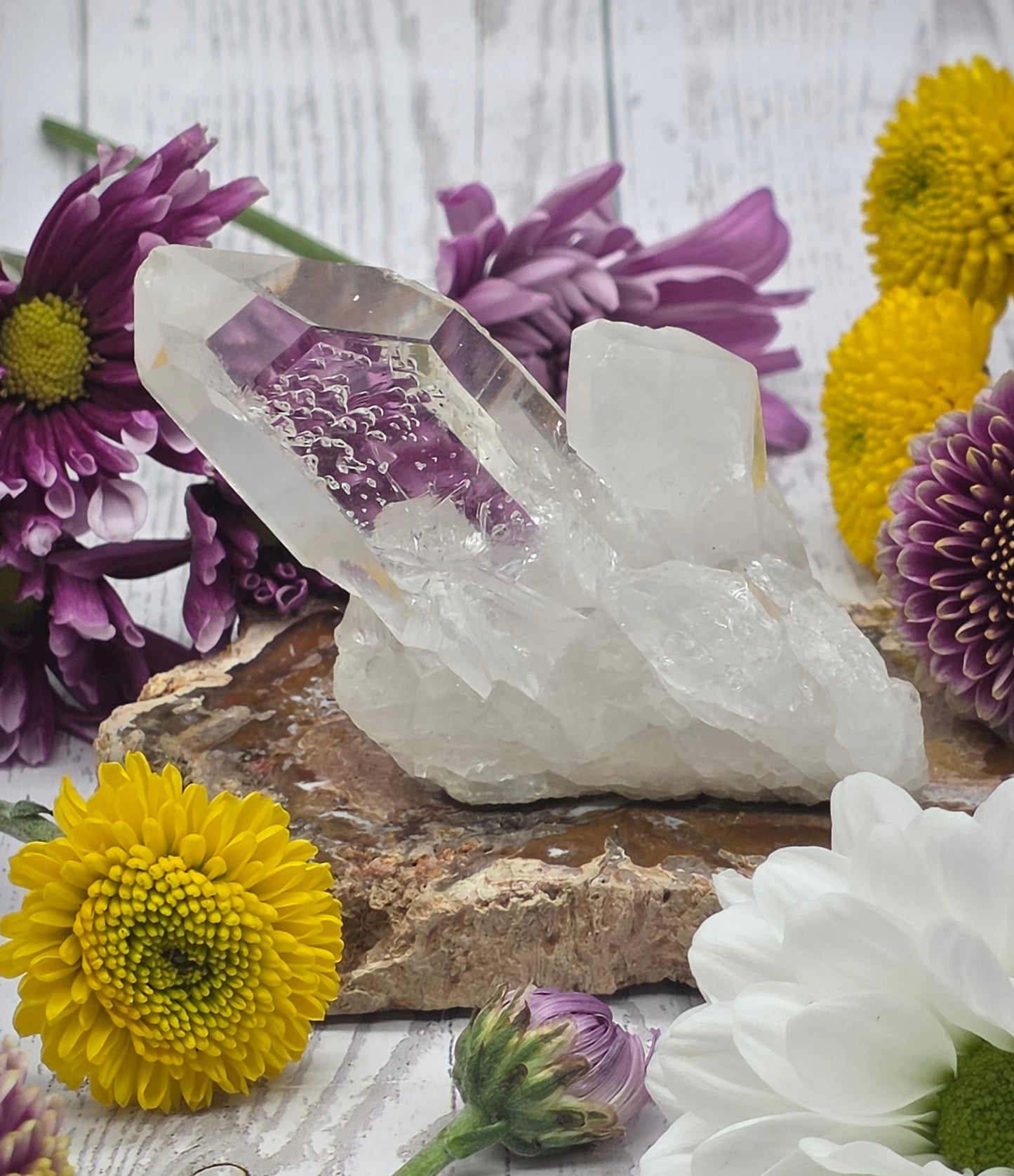 Lemurian Quartz Cluster