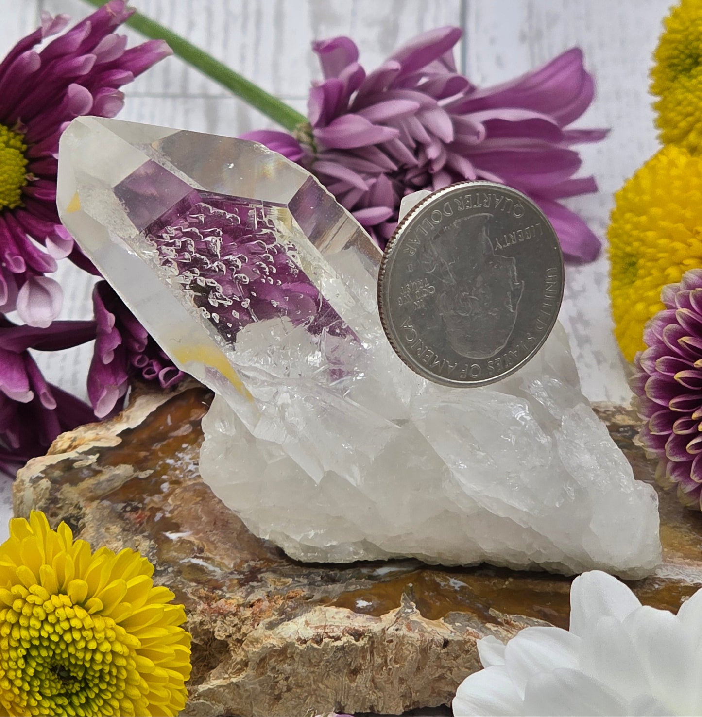 Lemurian Quartz Cluster
