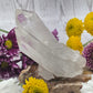 Lemurian Quartz Cluster