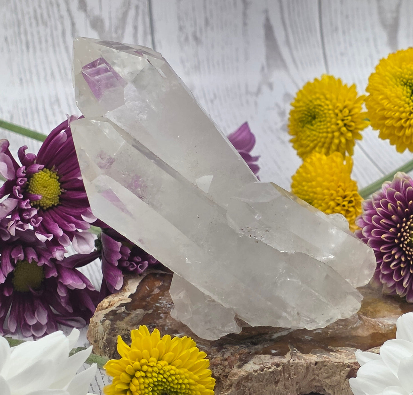 Lemurian Quartz Cluster