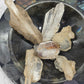 Faden Quartz