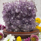 Amethyst Druzy with Wood Stand