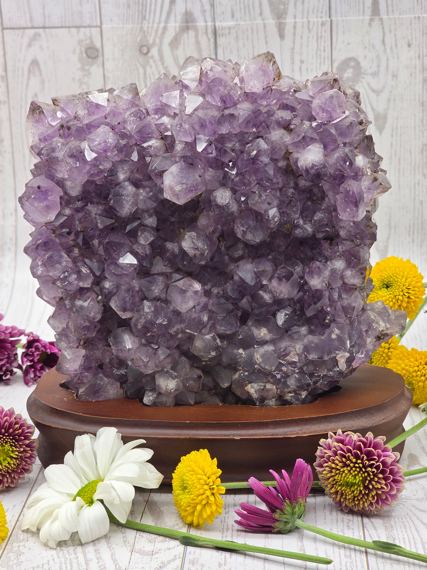 Amethyst Druzy with Wood Stand