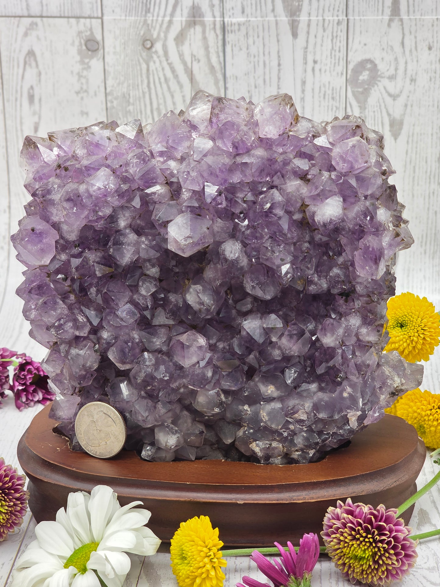 Amethyst Druzy with Wood Stand