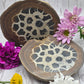 Septarian Nodule Set