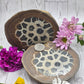 Septarian Nodule Set