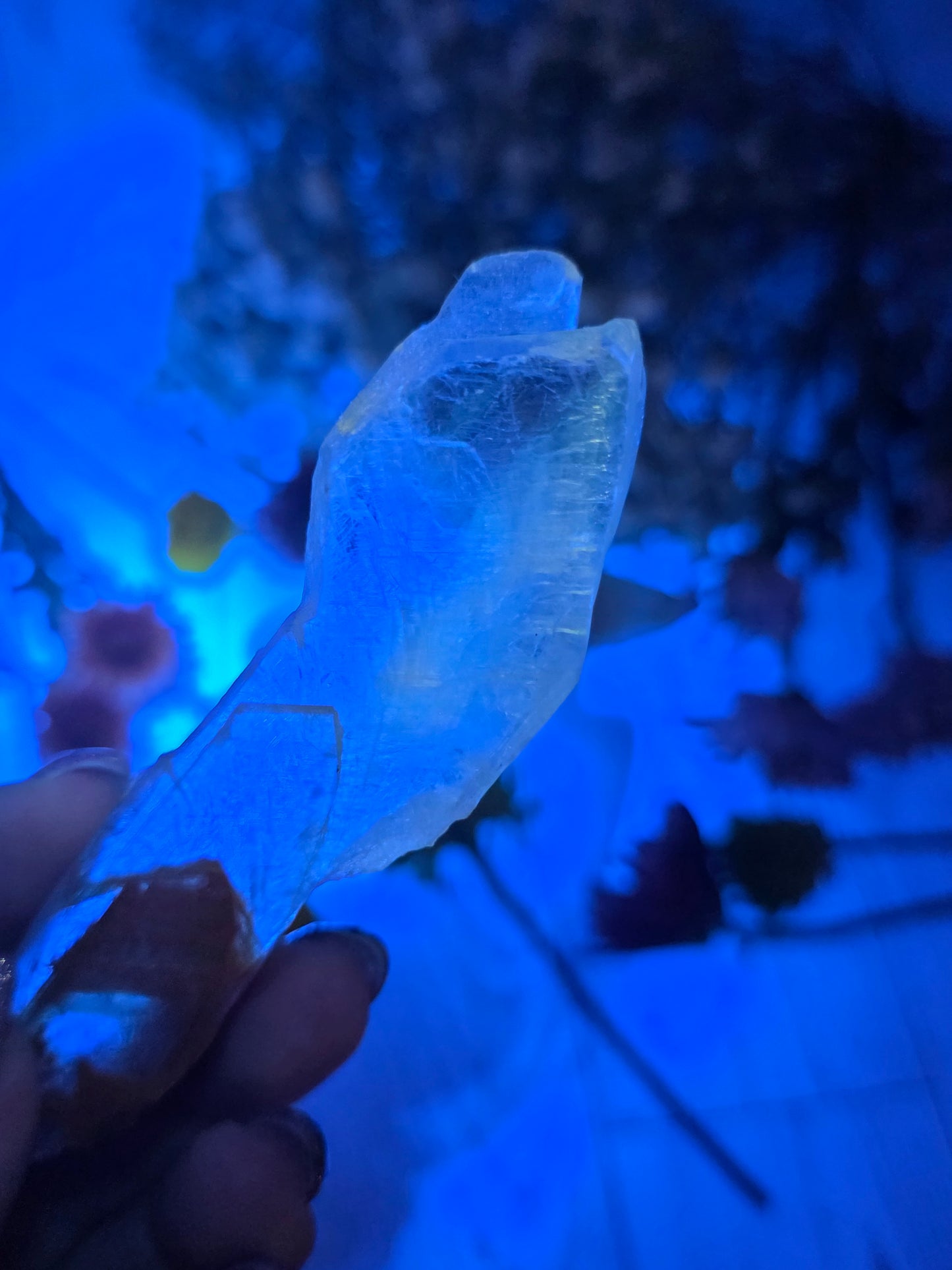 UV Reactive Selenite Slice