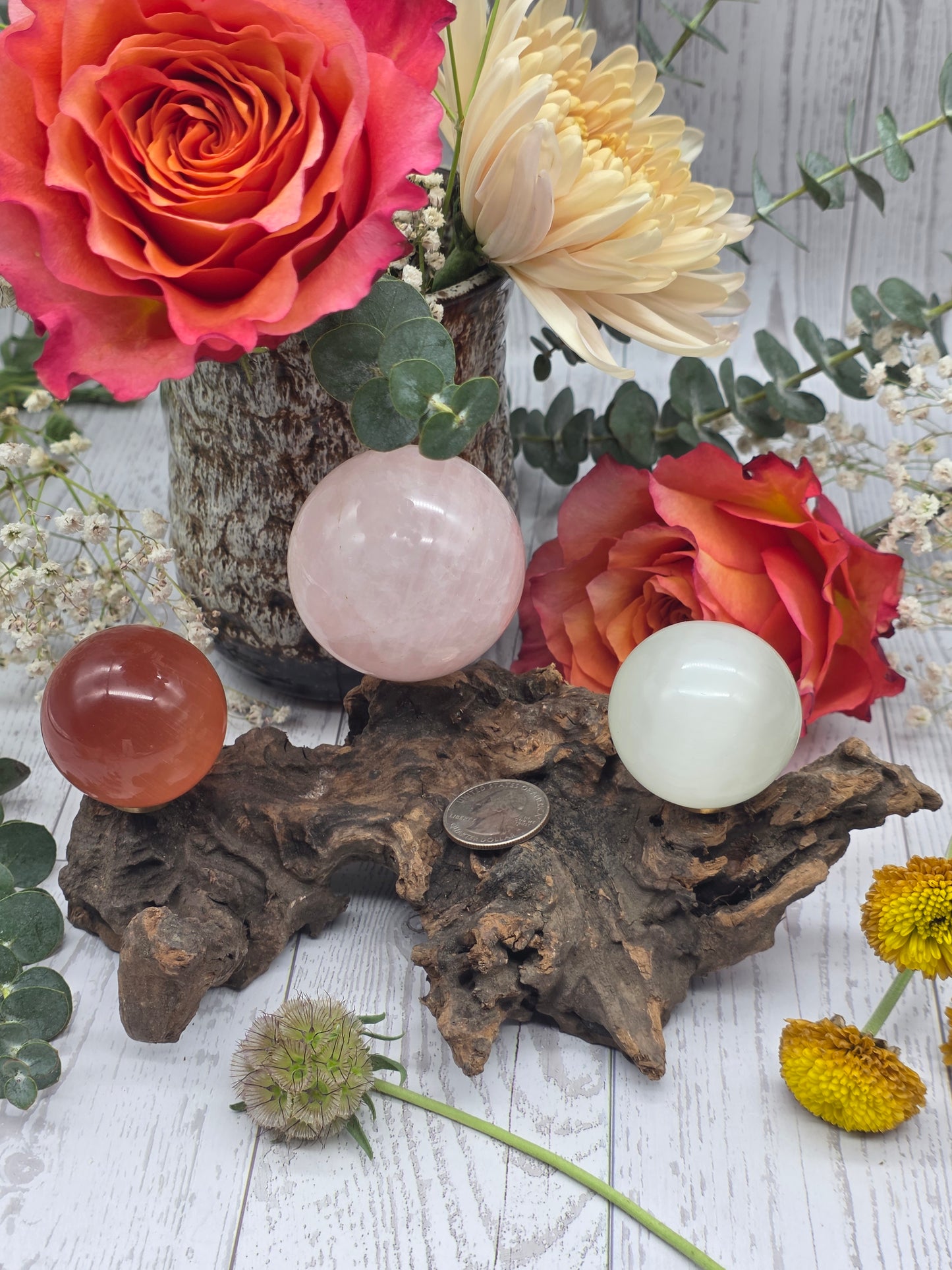 Driftwood Stand for 3 Spheres
