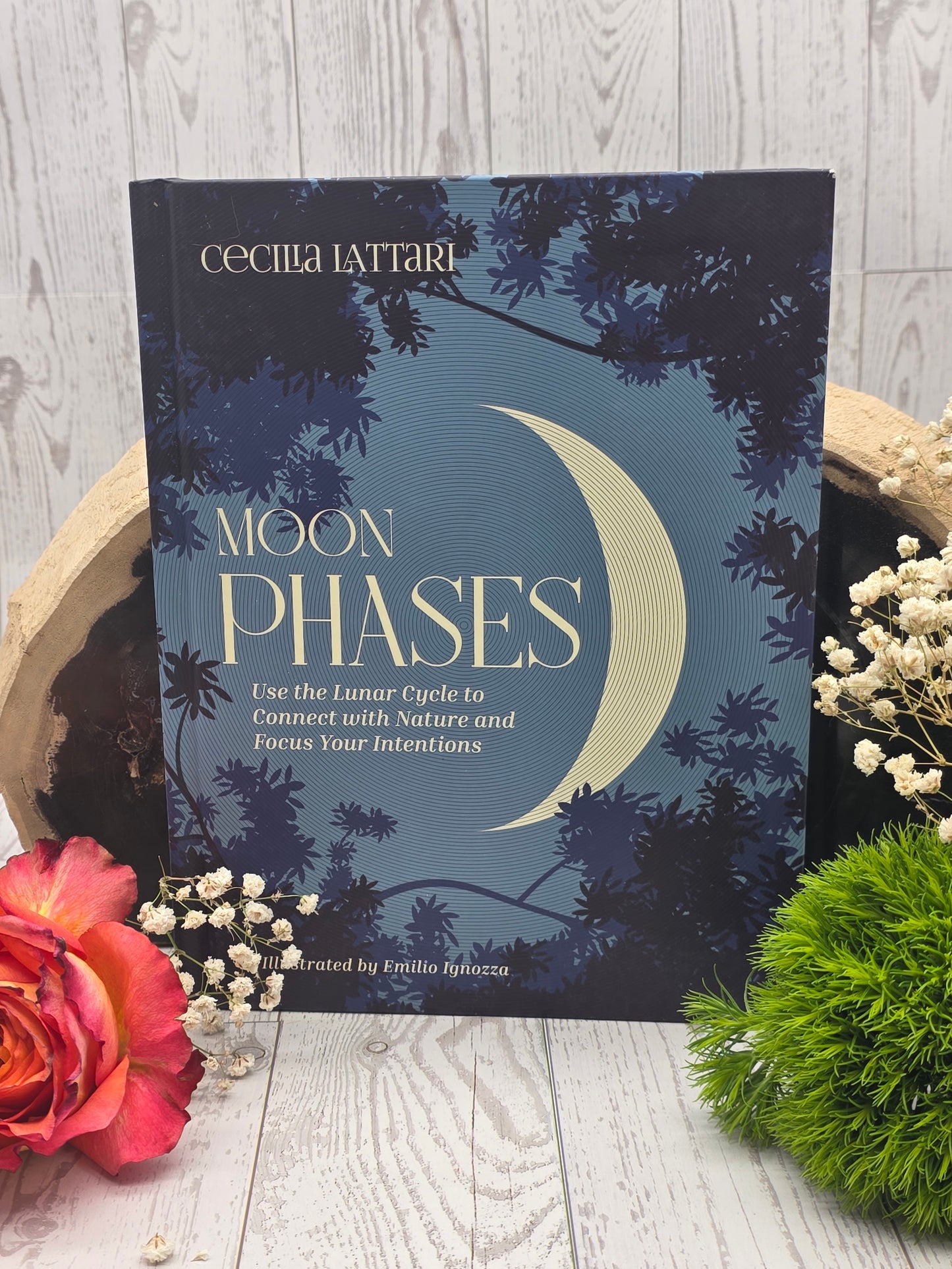 Moon Phases Book