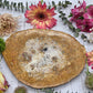 Fossilized Palm Root Plate