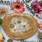 Fossilized Palm Root Plate