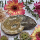 Fossilized Ammonite Bowl