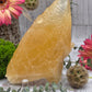Honey Calcite Tooth