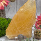 Honey Calcite Tooth