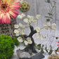 Crystal Tree