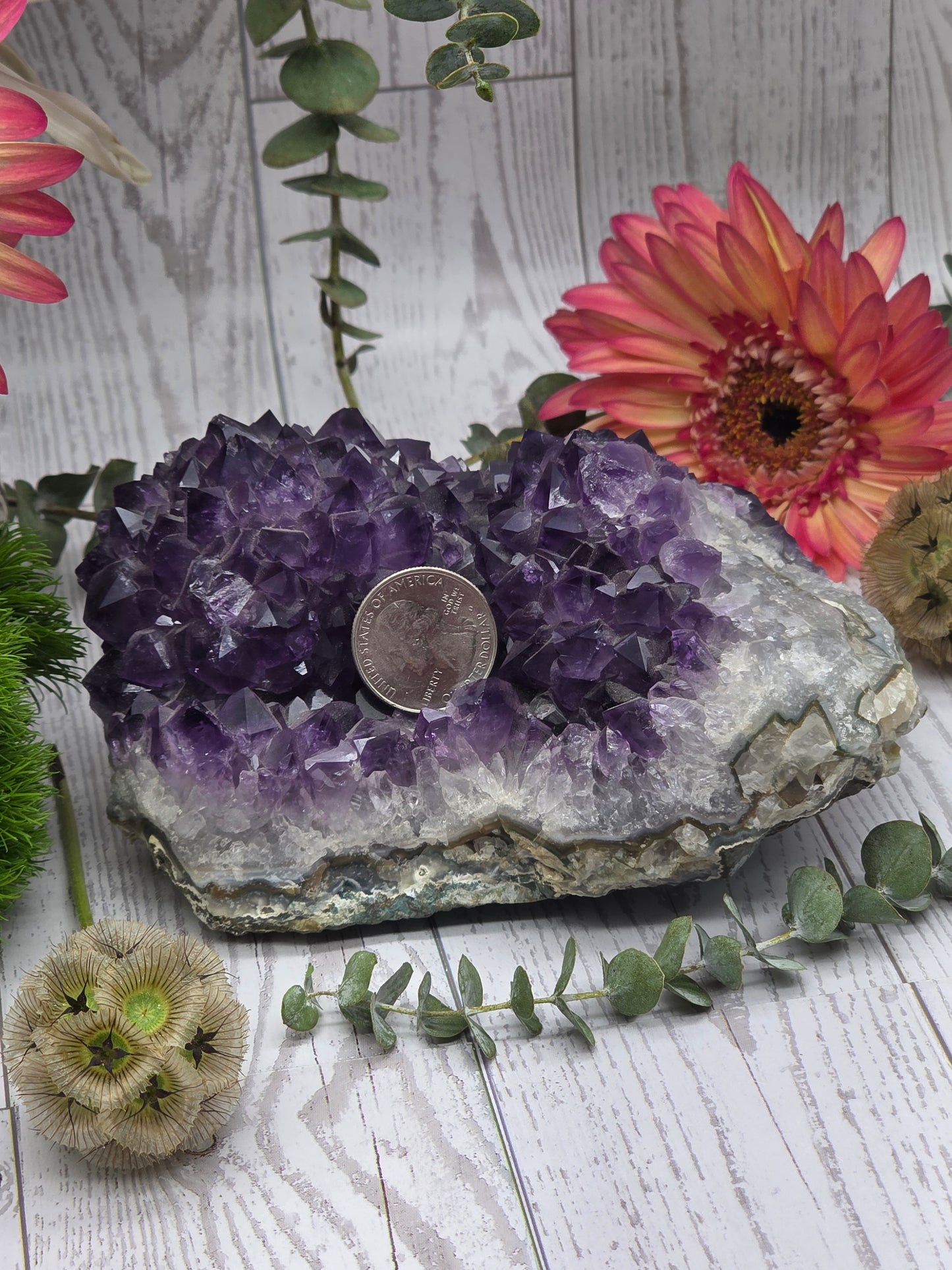 Amethyst Cluster