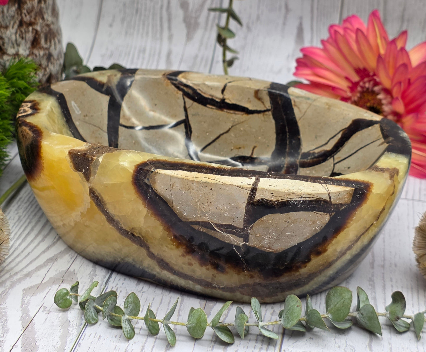 Septarian Bowl