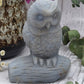 Angelite Owl Carving