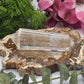 Clear Quartz Vogel