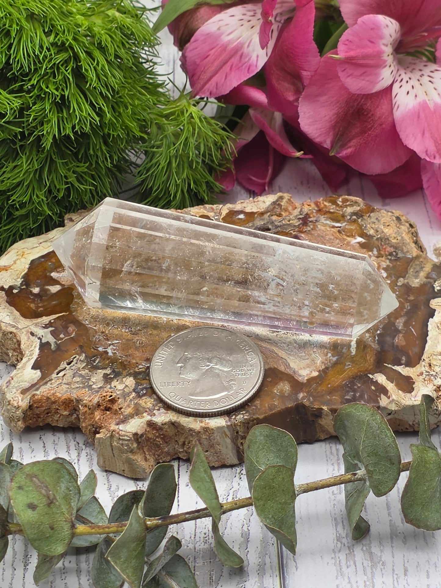 Clear Quartz Vogel