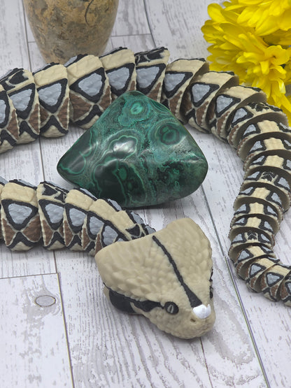 Malacholla Freeform