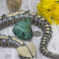 Malacholla Freeform